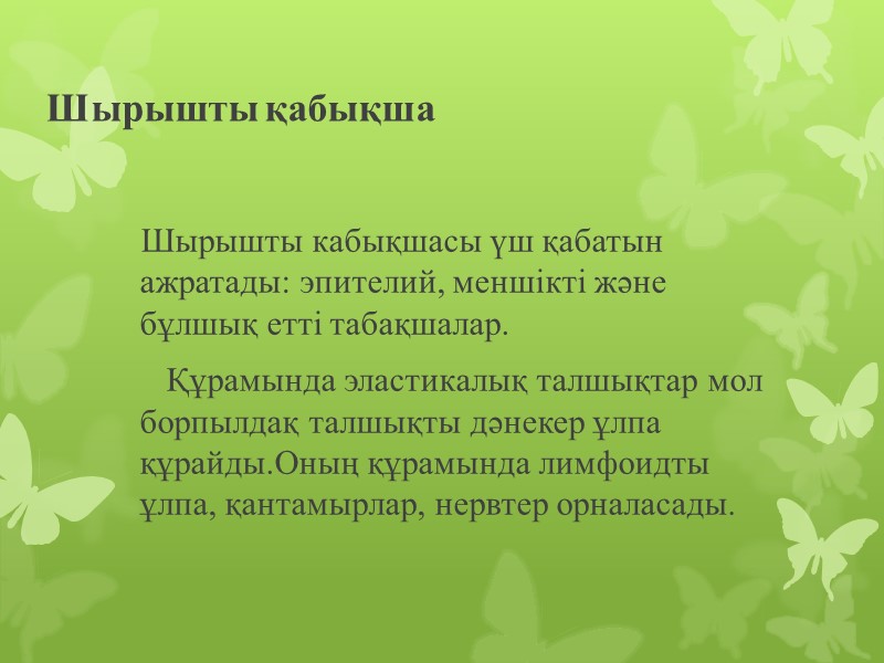 Шырышты қабықша     Шырышты кабықшасы үш қабатын  ажратады: эпителий, меншікті